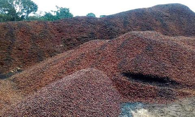 Coffee's Waste Problem